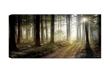 Canvastavla YTY Landscape & Nature Flerfärgad - 120x50 cm - Products - Inredning - Tavlor & posters - Canvastavla