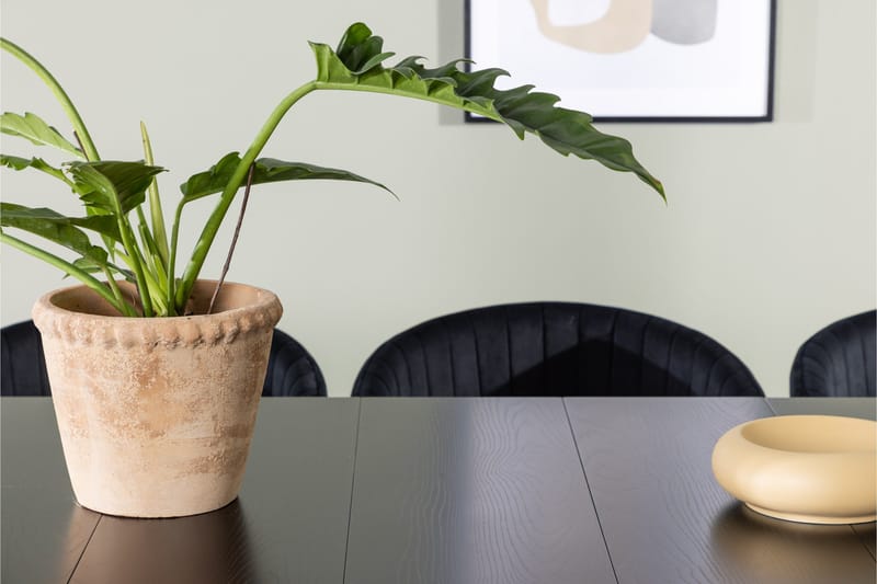 Astrid Matgrupp 200 cm Rektangulär med 6 Selma Stolar - Svart - Products - Möbler - Bord & matgrupp - Matgrupp