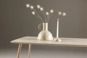 Plaza Soffbord 120x70 cm - Whitewash - Products - Möbler - Bord & matgrupp - Soffbord