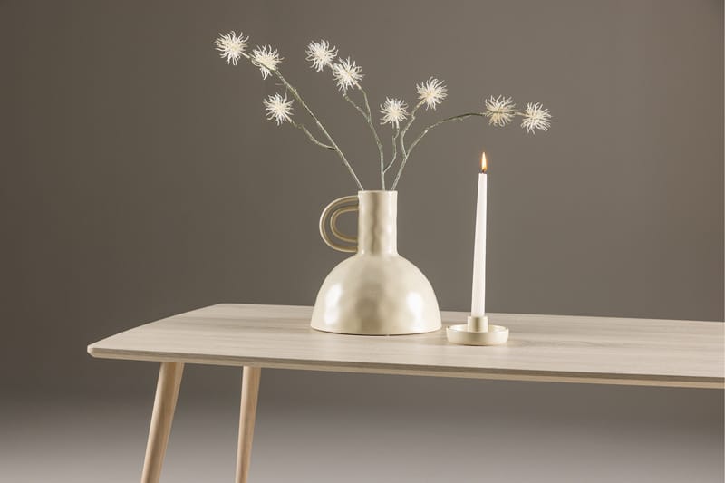 Plaza Soffbord 120x70 cm - Whitewash - Products - Möbler - Bord & matgrupp - Soffbord