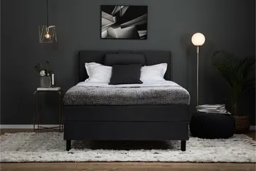 Lucky Komplett Sängpaket 120x200 Polyeter Slät Sänggavel - Nackkudde Stor Svart/Grå - Products - Möbler - Säng - Enkelsäng