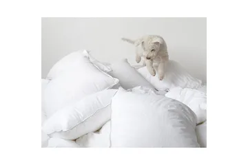 Kudde Hotellkudde - 50 x 90 cm - Products - Textil & mattor - Sängkläder