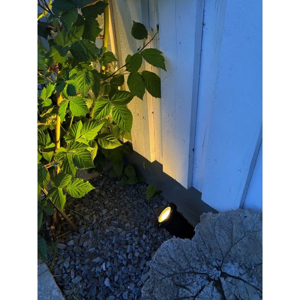 Takavalaisin - musta