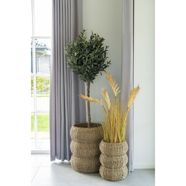 Sarbas korisetti - beige