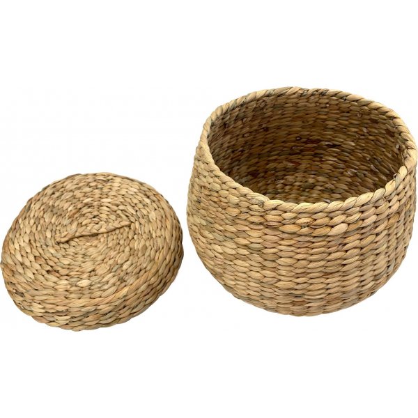 Arona kori - Luonto Arona kori - Luonto