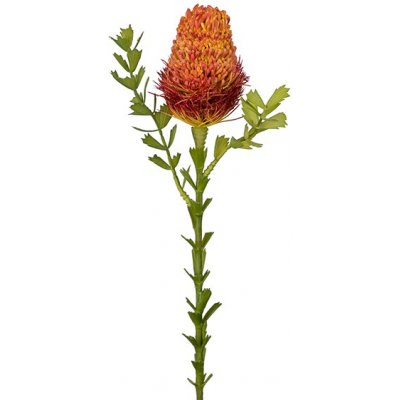 Banksia keinotekoinen kasvi