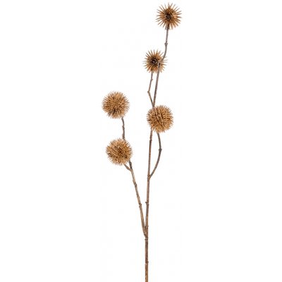 Sycamore keinotekoinen kasvi