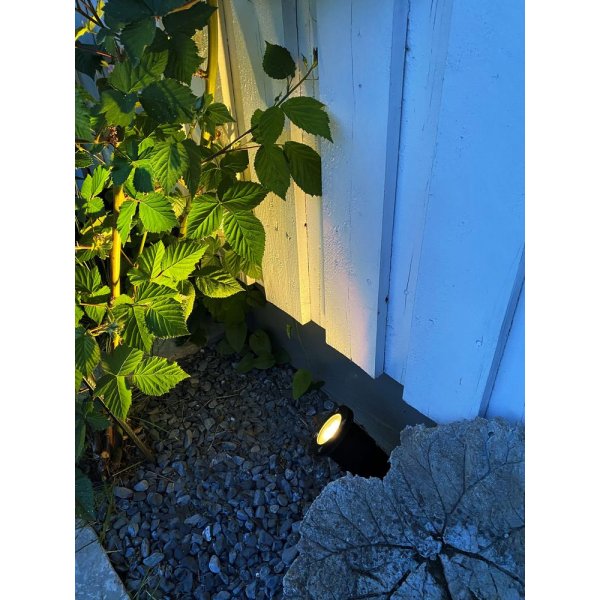 Takavalaisin - musta