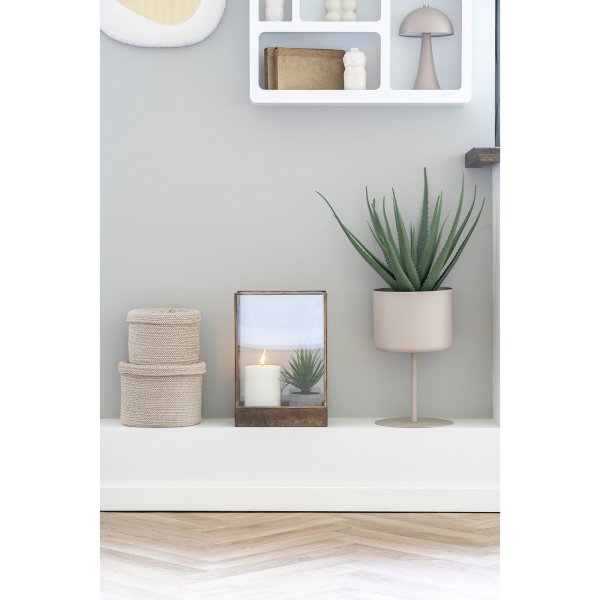 Aloe Vera keinokasvi - K: 51 cm - Vihre