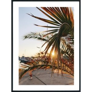 Posterworld - Motif Palm - 50x70 cm
