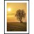 Posterworld - Motif Lonely Tree - 70x100 cm