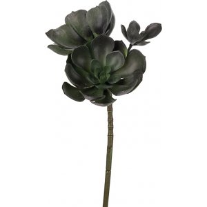 Echeveria keinotekoinen kasvi Echeveria keinotekoinen kasvi