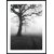Posterworld - kuvio tumma puu - 50 x 70 cm