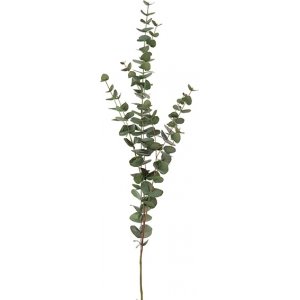 Eukalyptus keinotekoinen kasvi Eukalyptus keinotekoinen kasvi