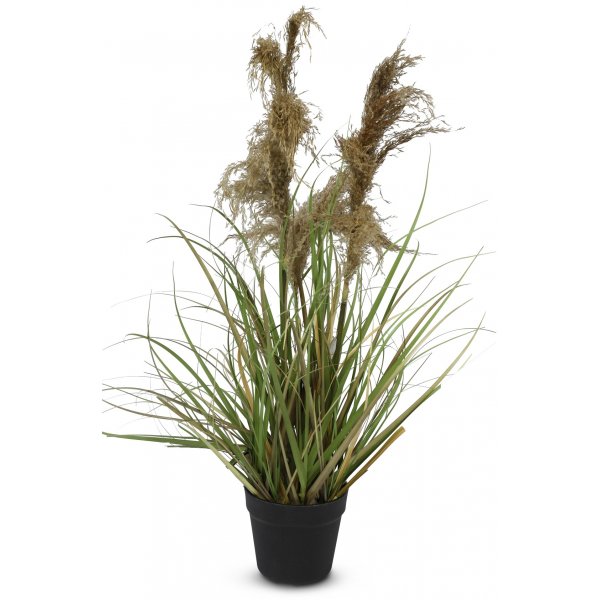 Keinokasvi - Ruoho/Pampas-ruoho k. 115 cm