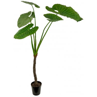 Alocasia keinotekoinen kasvi