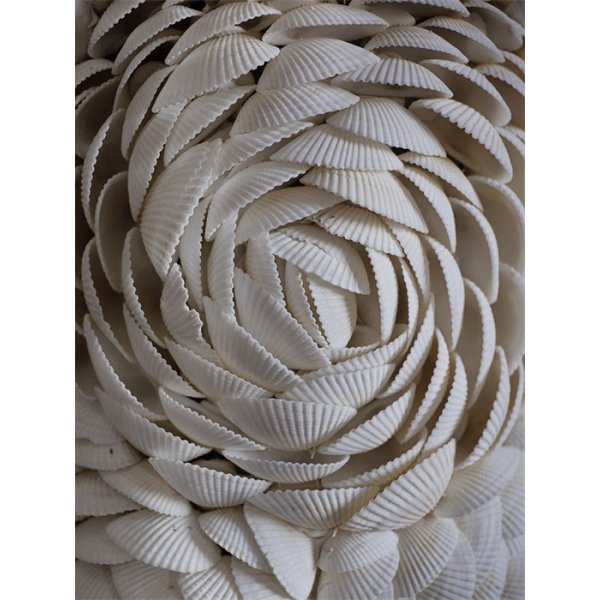 Cape Cod Valaisimen kanta kuorilla