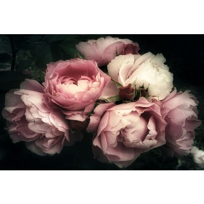 Flowers nr 1 -lasitaulu - 120x80 cm
