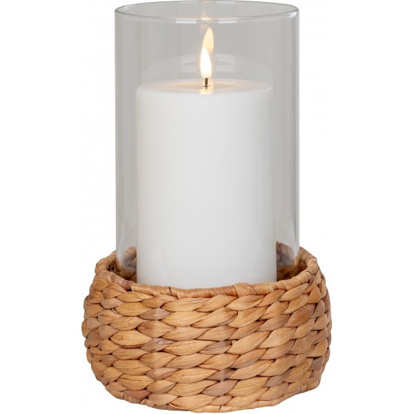 Hurrikaanilyhty - Luonto Hurrikaanilyhty - Luonto