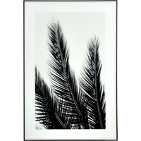B&W Palmunlehdet taulu - Mustat kehykset B&W Palmunlehdet taulu - Mustat kehykset