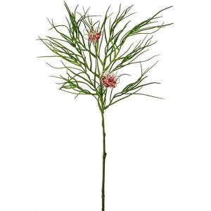 Grevillea keinotekoinen kasvi Grevillea keinotekoinen kasvi