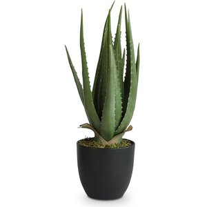 Keinokasvi - Verde Aloevera 47 cm