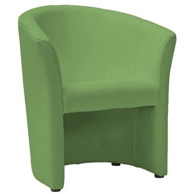Myra nojatuoli - vihre (PU) + Huonekalujen hoitosarja tekstiileille
